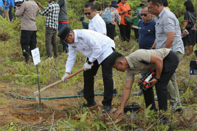 r2pt7xfv4drmt0cwavn9x20fhc